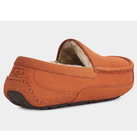 UGG Ascot Men's Slipper - Picture 3 of 7